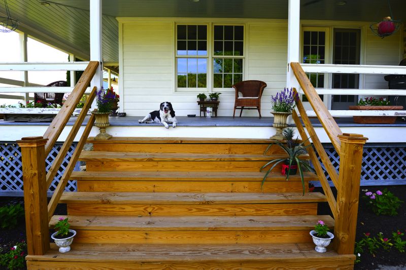 Porch Stairs Painting