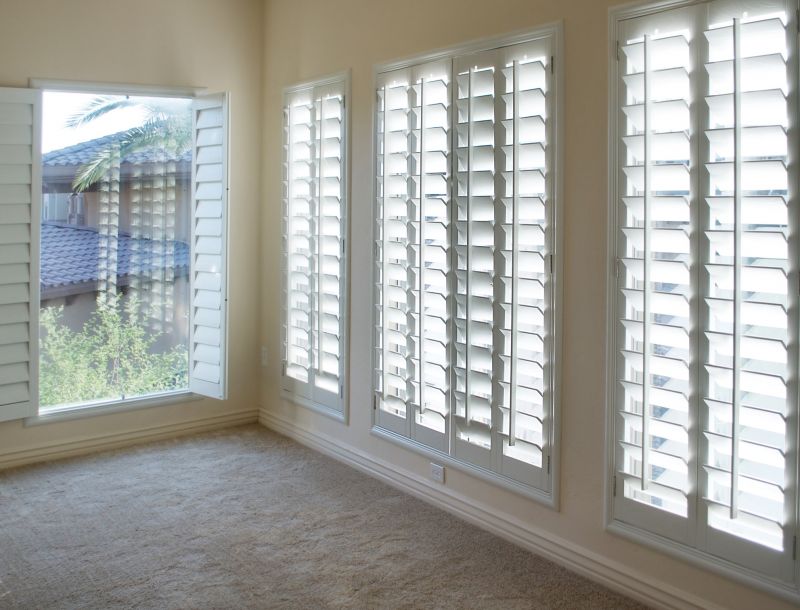 Window Shutters Painting