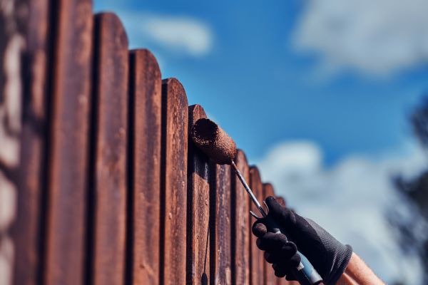 Residential Fence Painting